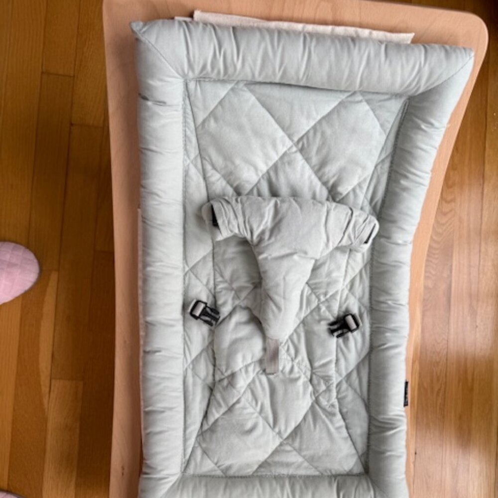 Charlie Crane Baby Rocker LEVO Used